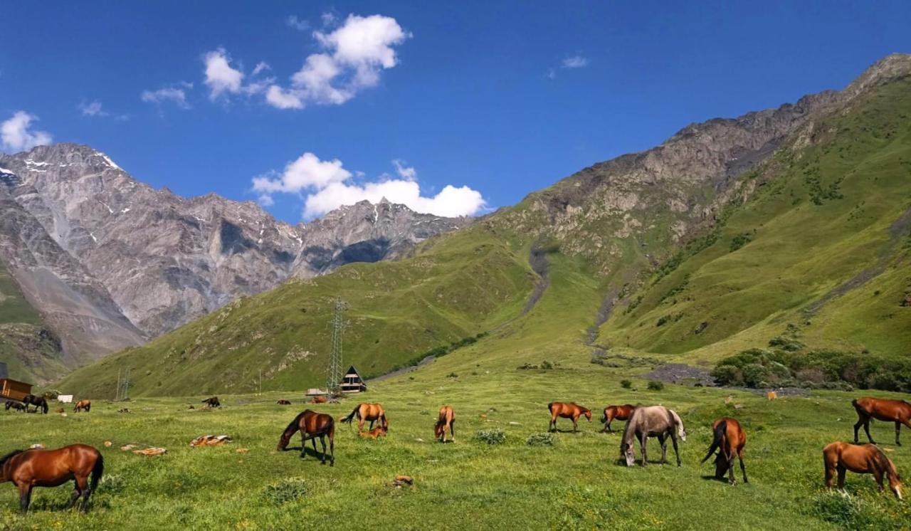 Mountain Flower Cottage Kazbegi Exterior foto