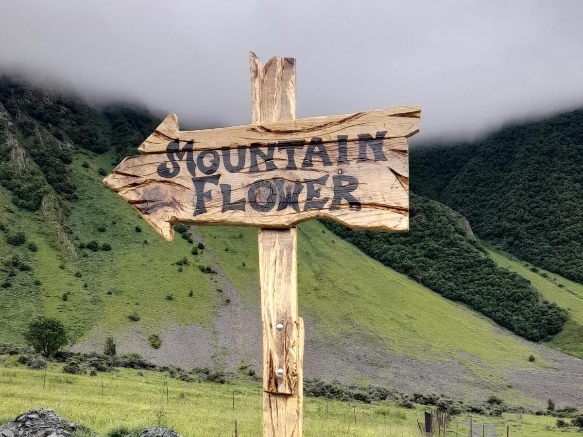 Mountain Flower Cottage Kazbegi Exterior foto